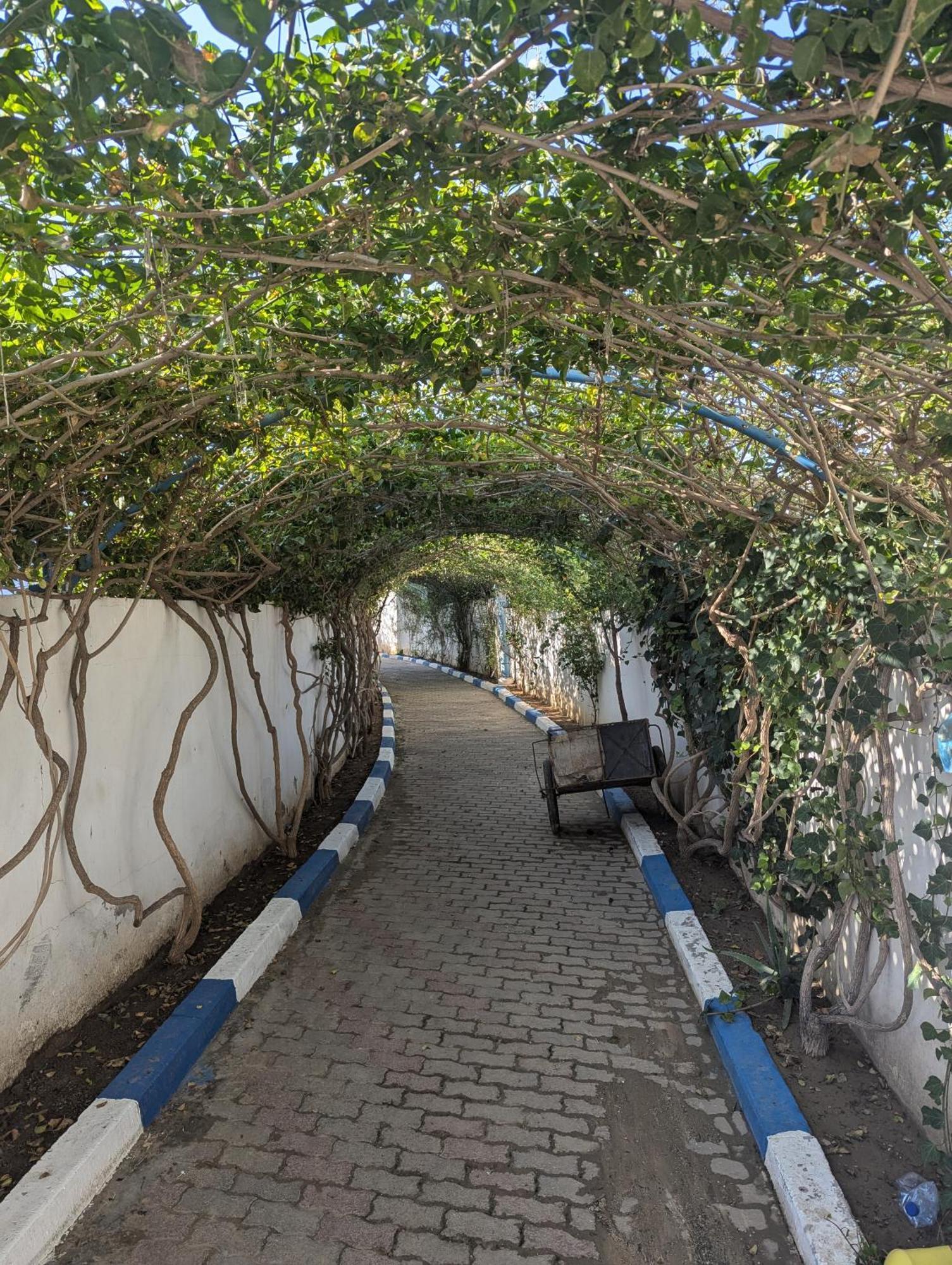 Diar El Bahr Mahdia Apartment El Hafsi Luaran gambar